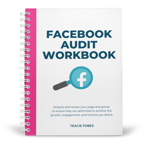 Facebook Audit Workbook.