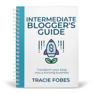 Intermediate Blogger's Guide (80+ Pages)
